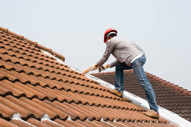 Best Solar Panel Roofing Installation  in Fifth Ward, LA